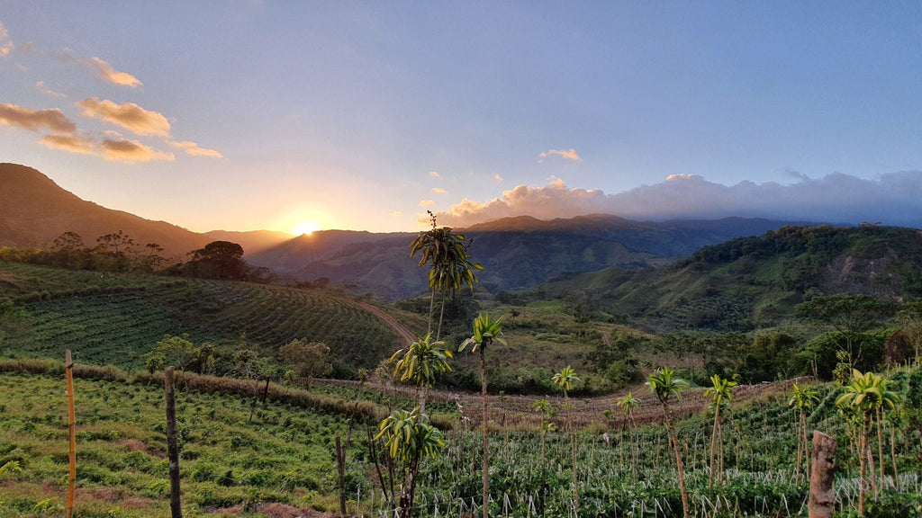 Die Boh­nen­schmie­de News im Mai 2021