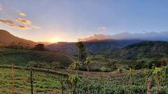 Die Boh­nen­schmie­de News im Mai 2021