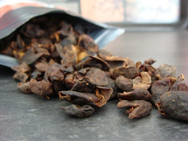 Kaffeekirschentee 120g – Bild 2